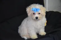 processed/3672ed36-c282-43d8-a168-74a97e52a660/listing/4495bfd4-d012-4148-9ad5-892967d45568/6e8cbd3a-34e9-4145-8def-93f306da06c7