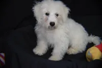 processed/3672ed36-c282-43d8-a168-74a97e52a660/listing/7f5b8c0c-b2ca-4f29-b407-7914ebd75901/6dc82375-ed85-4346-b300-01e5a69b4712