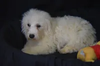 processed/3672ed36-c282-43d8-a168-74a97e52a660/listing/7f5b8c0c-b2ca-4f29-b407-7914ebd75901/8d313e55-22df-4772-9de6-51e29f0dc73a