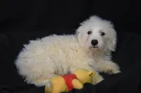 processed/3672ed36-c282-43d8-a168-74a97e52a660/listing/7f5b8c0c-b2ca-4f29-b407-7914ebd75901/da5206be-a052-427f-b37a-67c5a2889c3d