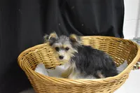 processed/3672ed36-c282-43d8-a168-74a97e52a660/listing/a7914a2d-f29c-48af-a2ff-293e3684ebba/4ceeb9fd-5f4a-407f-963e-69d548c3e619