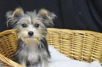 processed/3672ed36-c282-43d8-a168-74a97e52a660/listing/a7914a2d-f29c-48af-a2ff-293e3684ebba/4ebd5c5b-ee85-47b6-9857-47507a64fb1b