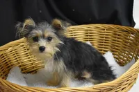 processed/3672ed36-c282-43d8-a168-74a97e52a660/listing/a7914a2d-f29c-48af-a2ff-293e3684ebba/5a1a3b7a-f400-445b-b2d1-01223e245a06