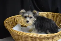 processed/3672ed36-c282-43d8-a168-74a97e52a660/listing/a7914a2d-f29c-48af-a2ff-293e3684ebba/8ed7e5fd-906c-406e-b692-e0f0a3b40c9d