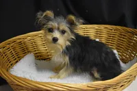 processed/3672ed36-c282-43d8-a168-74a97e52a660/listing/a7914a2d-f29c-48af-a2ff-293e3684ebba/a0192409-f350-4522-89a7-237d8e7945e8