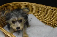 processed/3672ed36-c282-43d8-a168-74a97e52a660/listing/a7914a2d-f29c-48af-a2ff-293e3684ebba/a27fdbb5-f963-4c7b-aede-bed865b3bee7