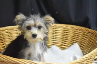 processed/3672ed36-c282-43d8-a168-74a97e52a660/listing/a7914a2d-f29c-48af-a2ff-293e3684ebba/afa7cf04-6de4-44a2-9067-2938cfaf1695