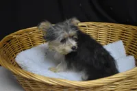 processed/3672ed36-c282-43d8-a168-74a97e52a660/listing/a7914a2d-f29c-48af-a2ff-293e3684ebba/b78b6096-56d1-44ba-aed5-2d1642828159