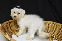 processed/3672ed36-c282-43d8-a168-74a97e52a660/listing/c71c73cd-b74f-4cb4-a60b-c05aa1c7cdb4/059dabae-d34d-4d28-b6ee-01ededba1d37