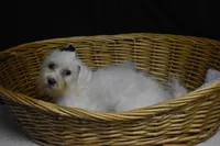 processed/3672ed36-c282-43d8-a168-74a97e52a660/listing/c71c73cd-b74f-4cb4-a60b-c05aa1c7cdb4/07beb0ac-56f9-4415-91c1-64cc384eb299