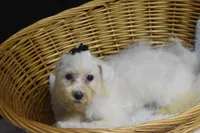 processed/3672ed36-c282-43d8-a168-74a97e52a660/listing/c71c73cd-b74f-4cb4-a60b-c05aa1c7cdb4/49696763-970b-4ee4-b71b-5d4f4cd5e9f3