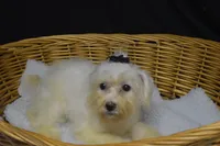 processed/3672ed36-c282-43d8-a168-74a97e52a660/listing/c71c73cd-b74f-4cb4-a60b-c05aa1c7cdb4/82b5242a-3efa-4404-80eb-57d105ff93bc