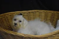 processed/3672ed36-c282-43d8-a168-74a97e52a660/listing/c71c73cd-b74f-4cb4-a60b-c05aa1c7cdb4/a6b81f10-c34d-4e10-8aa7-e6a20a94fb9d