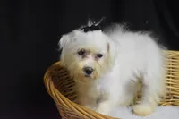 processed/3672ed36-c282-43d8-a168-74a97e52a660/listing/c71c73cd-b74f-4cb4-a60b-c05aa1c7cdb4/bb239927-6a81-458c-af44-2db6aa65e406