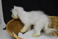 processed/3672ed36-c282-43d8-a168-74a97e52a660/listing/c71c73cd-b74f-4cb4-a60b-c05aa1c7cdb4/fac3617d-a77c-4f5b-829b-3882eefa233a