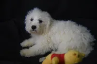 processed/3672ed36-c282-43d8-a168-74a97e52a660/listing/e882c39a-1dda-43f9-945b-e3f7c3e46779/3010efd4-d6b7-488a-a31d-40f1baf8d98d