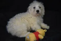 processed/3672ed36-c282-43d8-a168-74a97e52a660/listing/e882c39a-1dda-43f9-945b-e3f7c3e46779/52f14e72-69ed-48d3-8b34-94b00cb5f7de