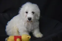 processed/3672ed36-c282-43d8-a168-74a97e52a660/listing/e882c39a-1dda-43f9-945b-e3f7c3e46779/98caa261-560b-44c5-803c-86698f32f520