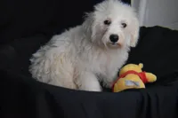 processed/3672ed36-c282-43d8-a168-74a97e52a660/listing/e882c39a-1dda-43f9-945b-e3f7c3e46779/aab60a4e-7a09-4a81-9ead-1c02ddf587bc