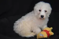 processed/3672ed36-c282-43d8-a168-74a97e52a660/listing/e882c39a-1dda-43f9-945b-e3f7c3e46779/d6b250aa-d723-42b7-a907-56b442b0bac4