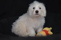 processed/3672ed36-c282-43d8-a168-74a97e52a660/listing/e882c39a-1dda-43f9-945b-e3f7c3e46779/f0919f76-dcf3-40c5-a074-ea18a3be3e52