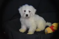 processed/3672ed36-c282-43d8-a168-74a97e52a660/listing/e882c39a-1dda-43f9-945b-e3f7c3e46779/f41c207a-8914-4bc9-8fd5-64717b1f4e9e