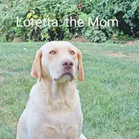 processed/3675a862-a7fd-41cf-99b7-6c20a28213b7/facility/11d48a4f-01a6-4344-83c6-04fae1aadc07