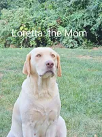 processed/3675a862-a7fd-41cf-99b7-6c20a28213b7/facility/11d48a4f-01a6-4344-83c6-04fae1aadc07