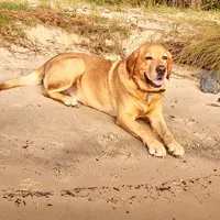 processed/3675a862-a7fd-41cf-99b7-6c20a28213b7/facility/47e14878-df5c-413e-ba97-5ec88256d9c8