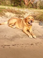 processed/3675a862-a7fd-41cf-99b7-6c20a28213b7/facility/47e14878-df5c-413e-ba97-5ec88256d9c8