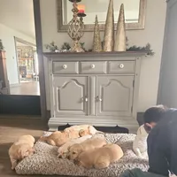 processed/3675a862-a7fd-41cf-99b7-6c20a28213b7/facility/5ed47b7d-6e4b-4bdf-80e4-3d27427dff66