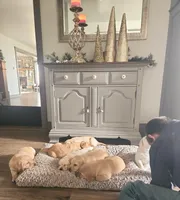 processed/3675a862-a7fd-41cf-99b7-6c20a28213b7/facility/5ed47b7d-6e4b-4bdf-80e4-3d27427dff66