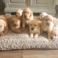 processed/3675a862-a7fd-41cf-99b7-6c20a28213b7/facility/b5b9a740-d6ae-4c48-94b7-4a603d661982