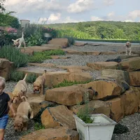 processed/3675a862-a7fd-41cf-99b7-6c20a28213b7/facility/b9c70e59-2903-4516-a843-05aac8786204