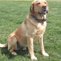 processed/3675a862-a7fd-41cf-99b7-6c20a28213b7/facility/f5e67d9e-355c-41e2-b052-6961e90cb6d7