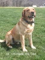 processed/3675a862-a7fd-41cf-99b7-6c20a28213b7/facility/f5e67d9e-355c-41e2-b052-6961e90cb6d7