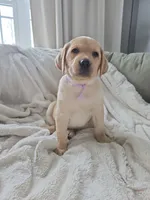 processed/3675a862-a7fd-41cf-99b7-6c20a28213b7/listing/08cd62eb-e1b4-4fcf-b682-3db056bfa1a4/31049054-b54e-4cfb-8785-6de8c9fabdea