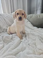 processed/3675a862-a7fd-41cf-99b7-6c20a28213b7/listing/08cd62eb-e1b4-4fcf-b682-3db056bfa1a4/3ecb88fa-a8b6-4d56-be20-089de87dc936