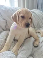 processed/3675a862-a7fd-41cf-99b7-6c20a28213b7/listing/08cd62eb-e1b4-4fcf-b682-3db056bfa1a4/c5cb8b02-e45b-45f9-97ea-0a3c98c0da43