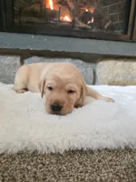 processed/3675a862-a7fd-41cf-99b7-6c20a28213b7/listing/08cd62eb-e1b4-4fcf-b682-3db056bfa1a4/d1d712a0-bdd0-40f8-b1e7-c1d3e728595b