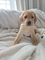 processed/3675a862-a7fd-41cf-99b7-6c20a28213b7/listing/7fefc0d4-deaa-4dd5-920d-3c7dc148725d/1be8eef0-8468-428d-b4cf-1f51c46cb677