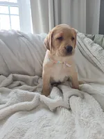 processed/3675a862-a7fd-41cf-99b7-6c20a28213b7/listing/7fefc0d4-deaa-4dd5-920d-3c7dc148725d/2697269e-4fd2-49c1-b6d6-081ff57d9eab