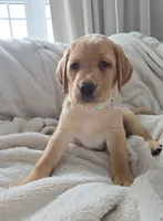 processed/3675a862-a7fd-41cf-99b7-6c20a28213b7/listing/7fefc0d4-deaa-4dd5-920d-3c7dc148725d/3e310588-8994-449f-aeaf-a93506499b11