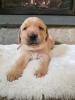 processed/3675a862-a7fd-41cf-99b7-6c20a28213b7/listing/7fefc0d4-deaa-4dd5-920d-3c7dc148725d/9c284e2c-b20b-4234-90ea-c3dd3542b8d7