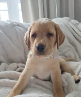 processed/3675a862-a7fd-41cf-99b7-6c20a28213b7/listing/7fefc0d4-deaa-4dd5-920d-3c7dc148725d/b9420601-e51c-4073-bba1-3dd04fc9f815