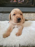 processed/3675a862-a7fd-41cf-99b7-6c20a28213b7/listing/7fefc0d4-deaa-4dd5-920d-3c7dc148725d/bea07152-eec3-417d-9293-51dedff53f21