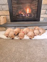 processed/3675a862-a7fd-41cf-99b7-6c20a28213b7/listing/859644c2-95ed-4a8f-9117-c4a3756c4043/51e6617b-3112-4c38-93f0-ecebc101c032