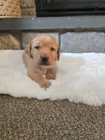 processed/3675a862-a7fd-41cf-99b7-6c20a28213b7/listing/859644c2-95ed-4a8f-9117-c4a3756c4043/aad34f40-db12-4de4-b99d-8e8c7fe638a3