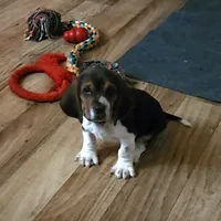 processed/36781bf8-9c64-4cf9-8173-1fbc115ab935/listing/d664bc50-f107-448c-884f-39c58138d1b0/0075db82-0c0f-4b1c-93ed-9af4524bafed