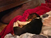 processed/36781bf8-9c64-4cf9-8173-1fbc115ab935/listing/d664bc50-f107-448c-884f-39c58138d1b0/80f91f9e-c031-4989-a3f9-f771623c053f